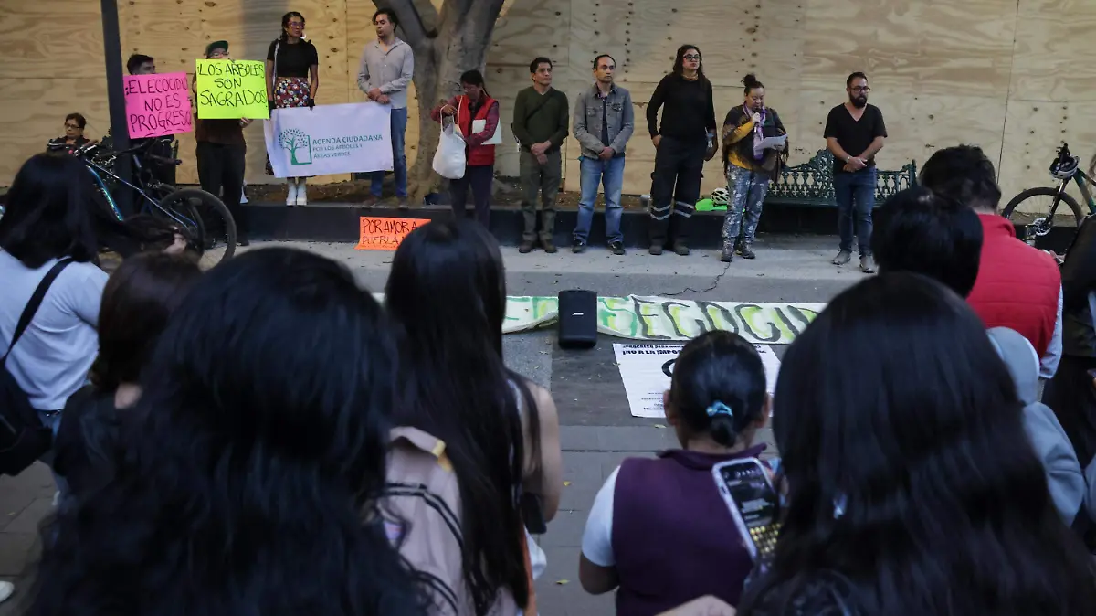 WhatsApp Image 2026-03-05 at 7.03.24 PM (3)