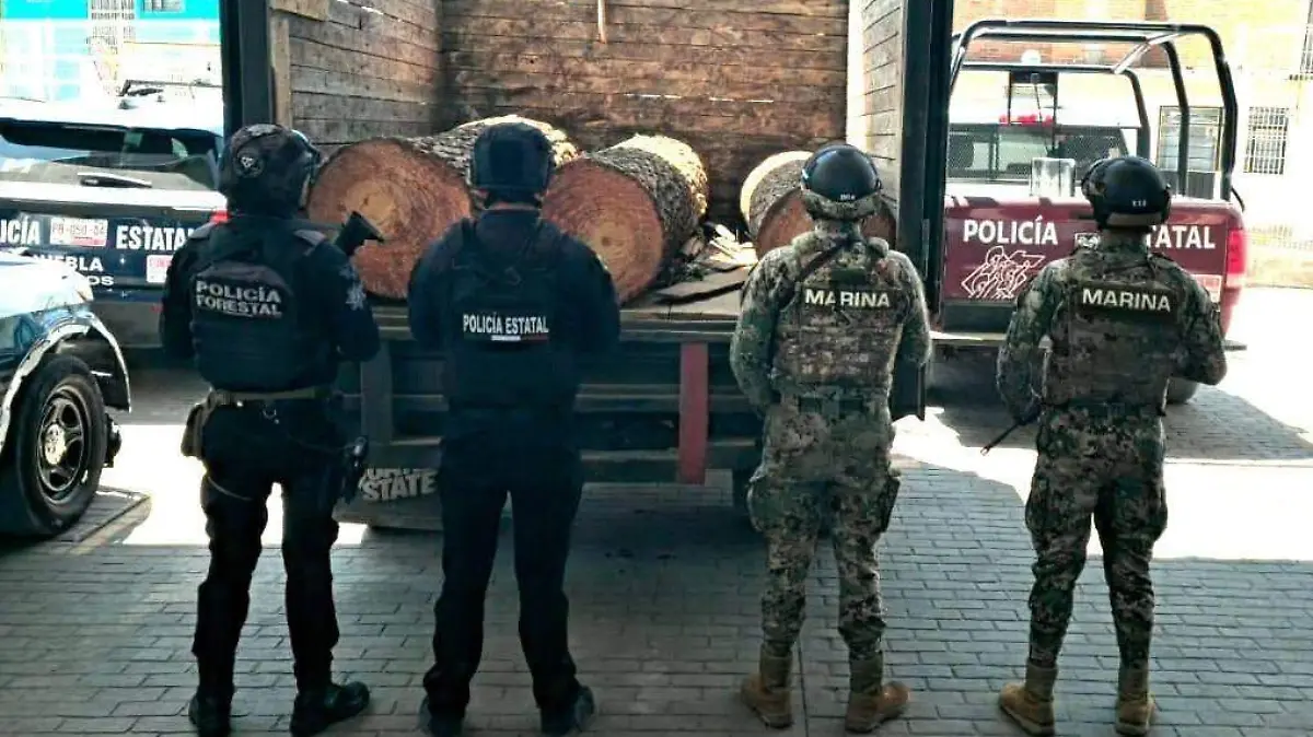 WhatsApp Image 2026-03-06 at 5.50.12 PM