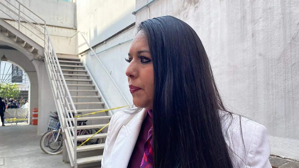 La edil agregó que al principio solo se buscaba apagar las luces cuando ocurriera esa escena