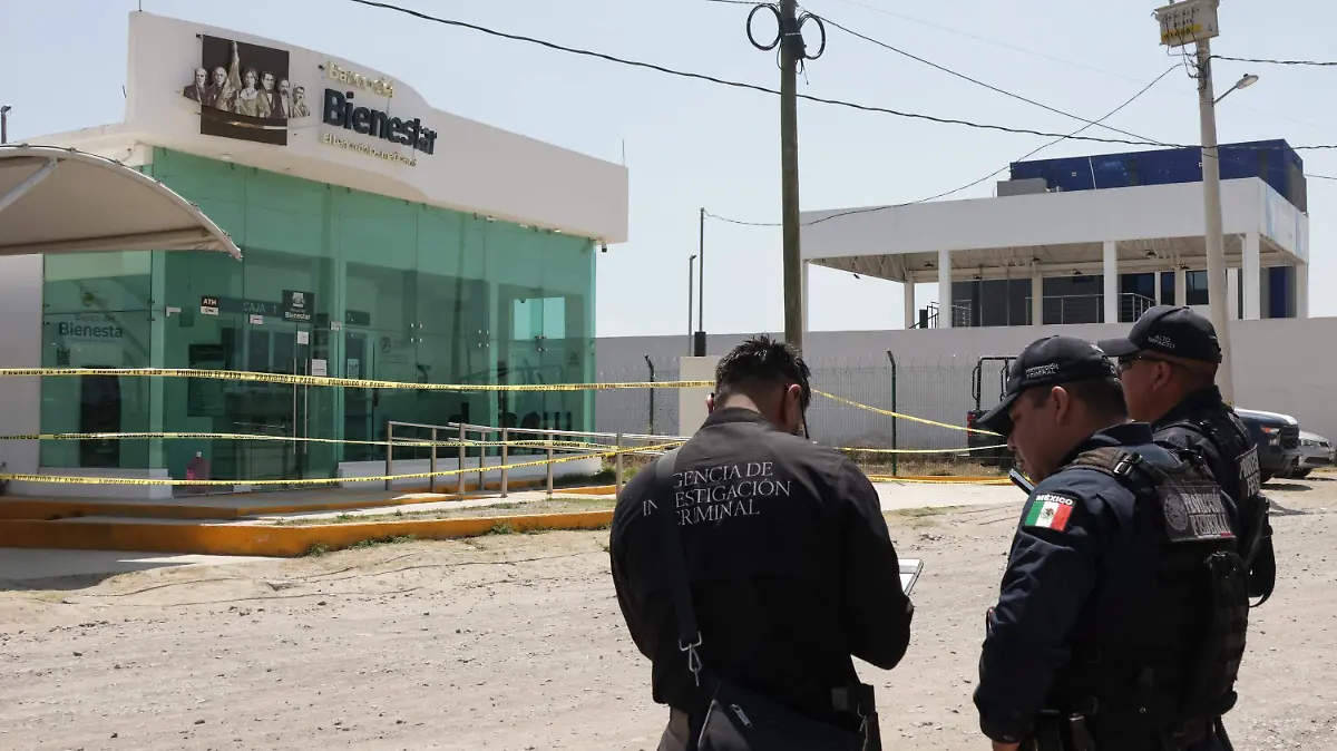 WhatsApp Image 2026-03-10 at 1.21.58 PM