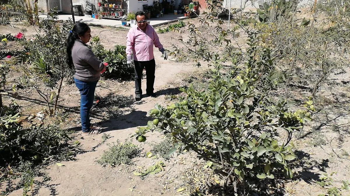 WhatsApp Image 2026-03-11 at 2.56.11 PM