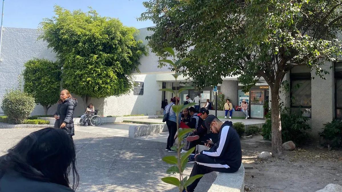 WhatsApp Image 2026-03-12 at 5.54.42 PM