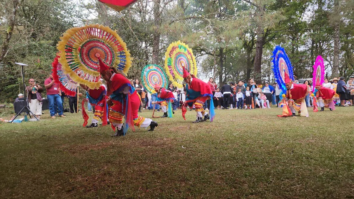 WhatsApp Image 2026-03-12 at 7.59.15 PM