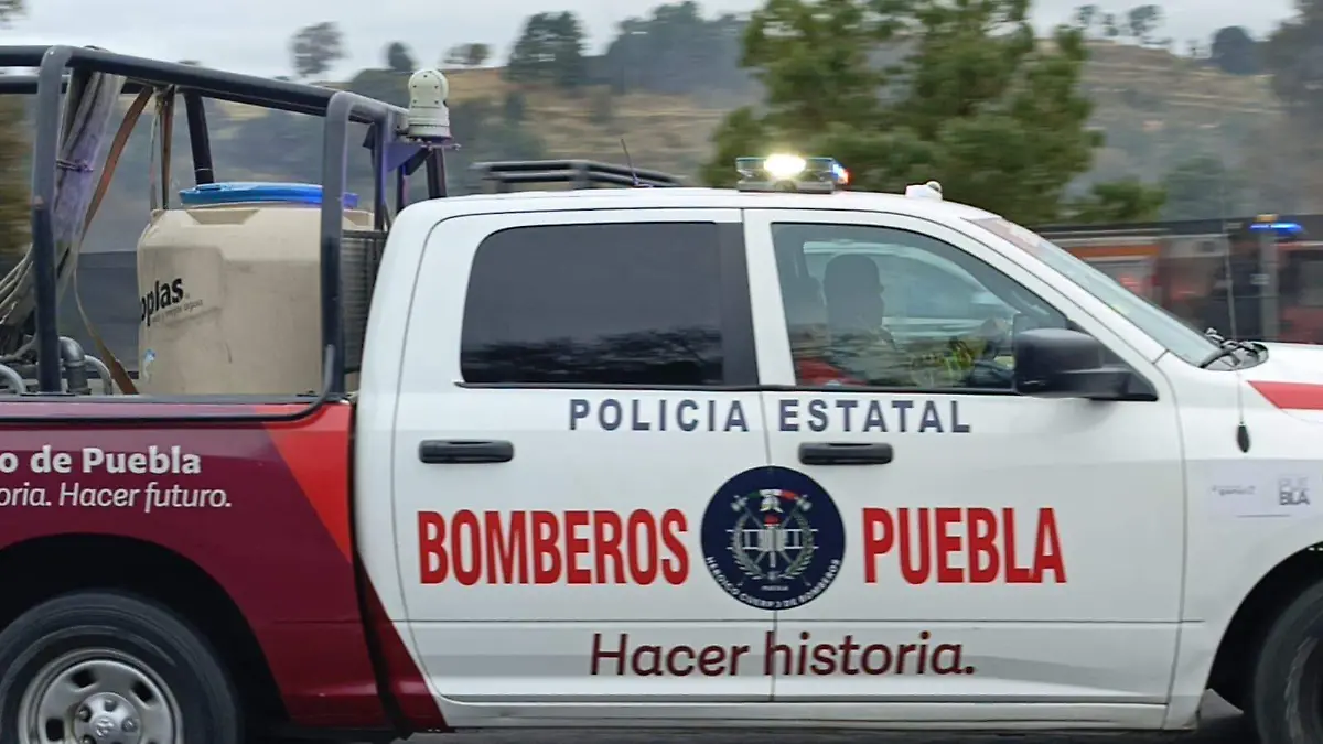 WhatsApp Image 2026-03-13 at 8.06.48 AM