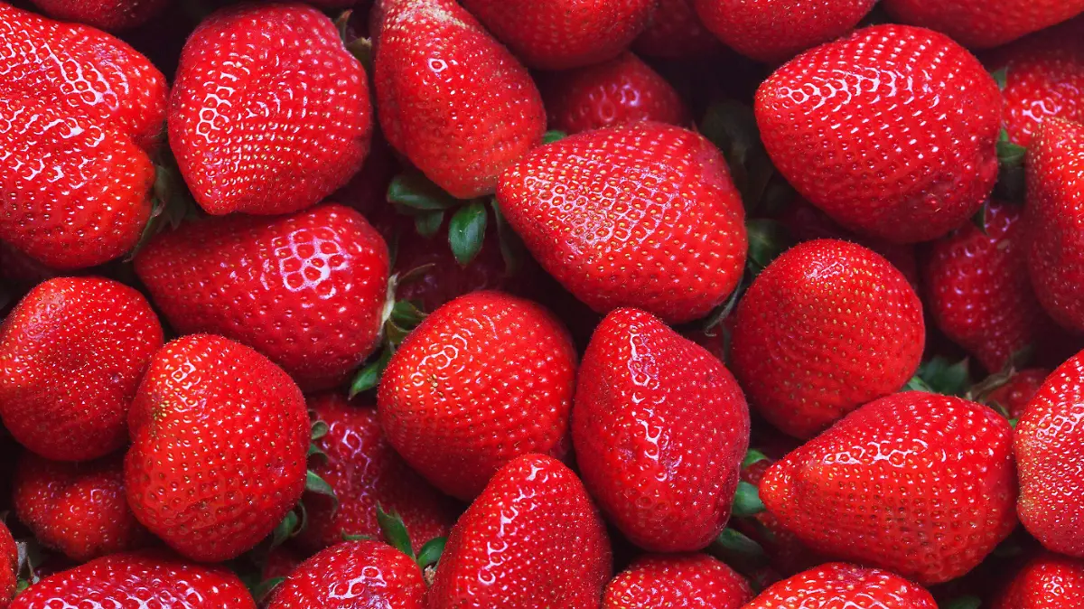 Según Profeco, retirar las hojas de las fresas antes de comerlas acelera su descomposición