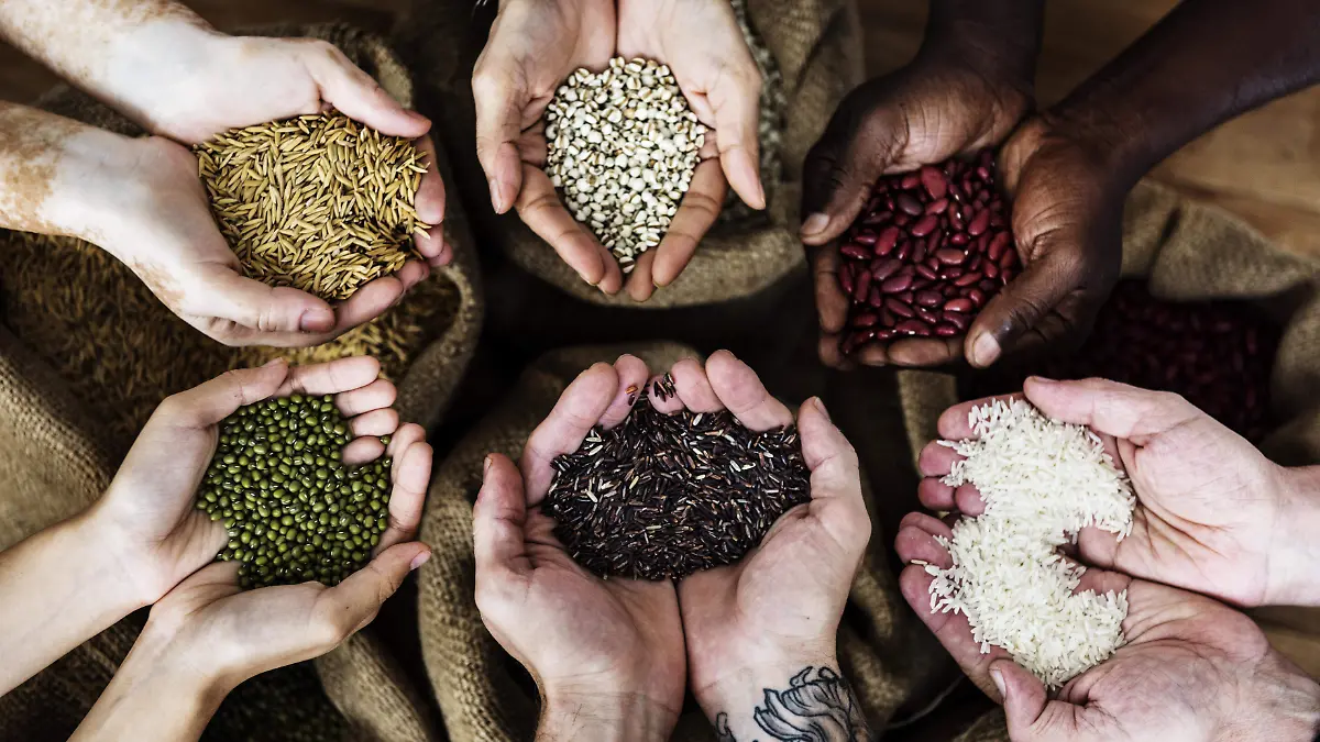 La 5ª Feria de Semillas en Santa Isabel Cholula es una celebración de la agroecología, la comida tradicional y la cultura local