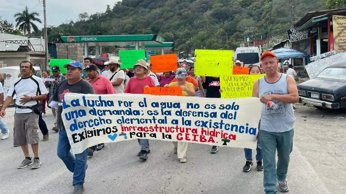 WhatsApp Image 2026-03-15 at 12.42.15 PM