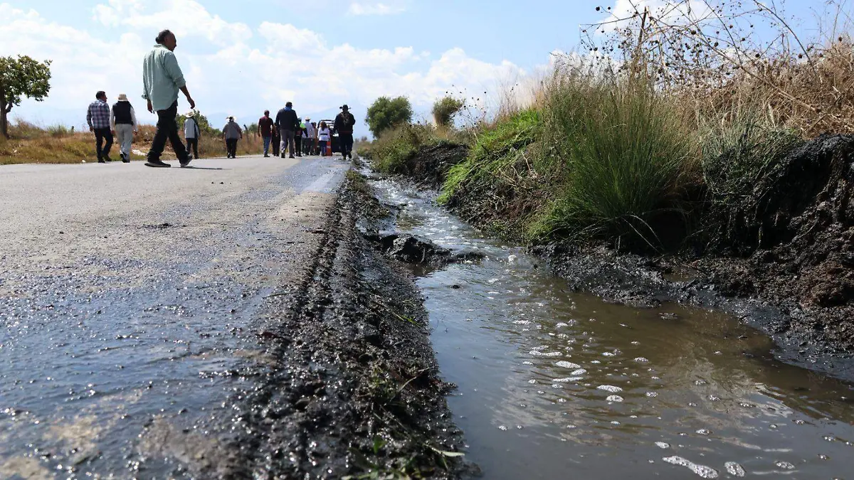 WhatsApp Image 2026-03-18 at 2.52.16 PM