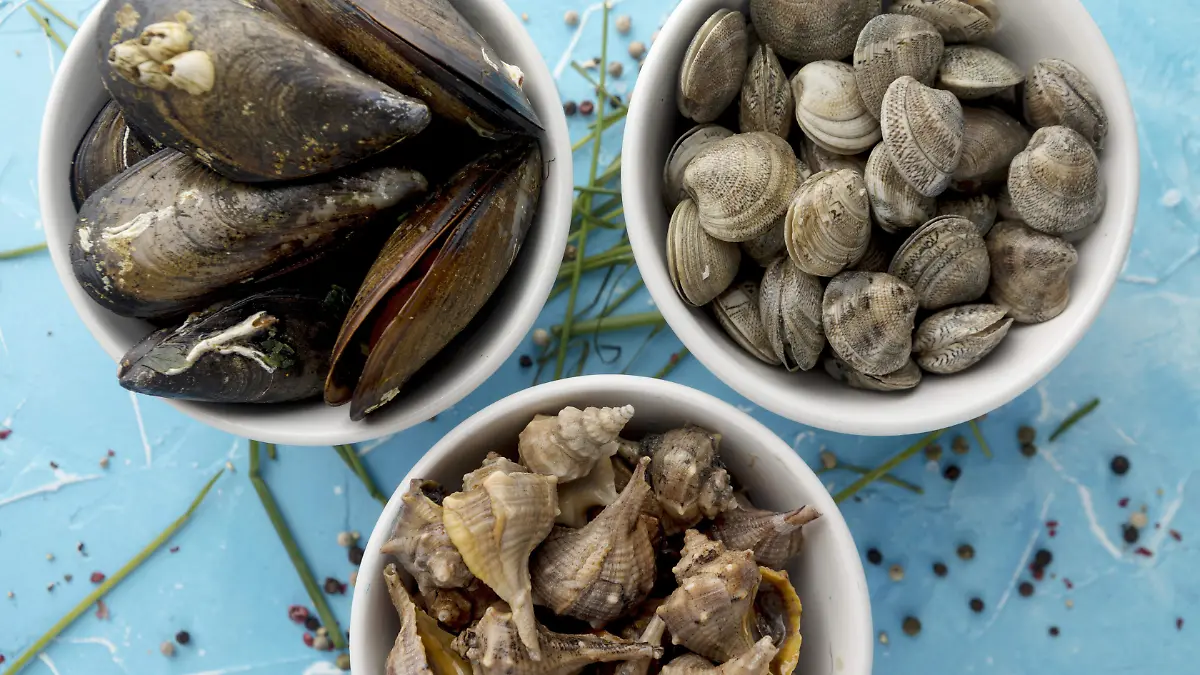 Estas son las señales que indican si un ostión es seguro para su consumo, de acuerdo con la autoridad sanitaria.