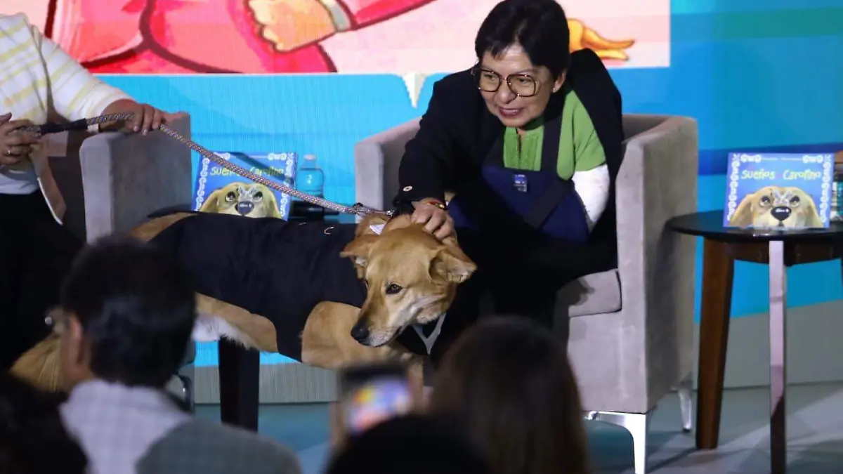 WhatsApp Image 2026-03-20 at 1.56.41 PM