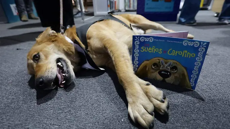 Los sueños de Carolino, la mascota de Filosofía y Letras de la BUAP 