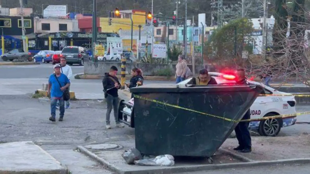 WhatsApp Image 2026-03-20 at 7.17.44 PM