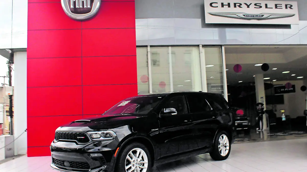 AGENCIA BIBIANA_CMYK