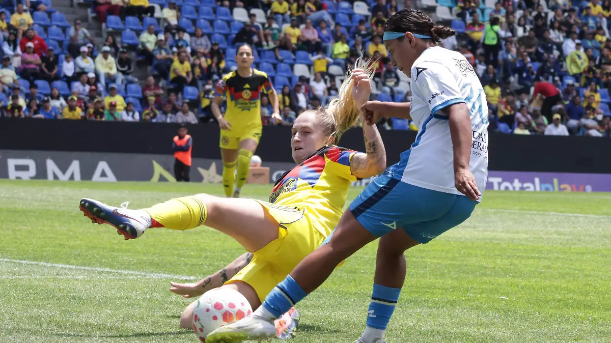 WhatsApp Image 2026-03-22 at 12.51.25 PM