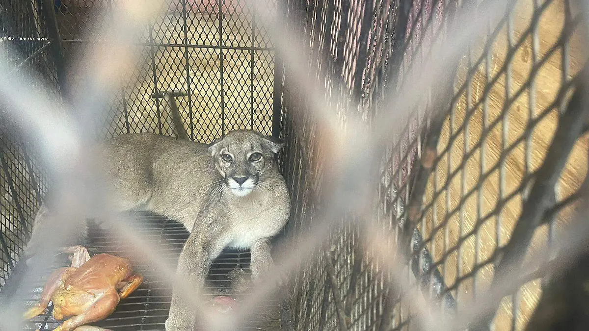 WhatsApp Image 2026-03-24 at 2.59.55 PM