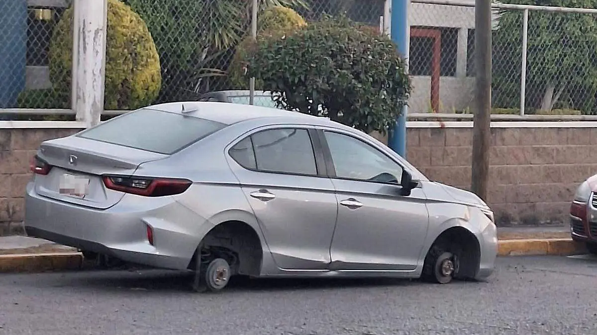 Pese a que debe existir seguridad en dicho parque industrial no hay vigilancia municipal