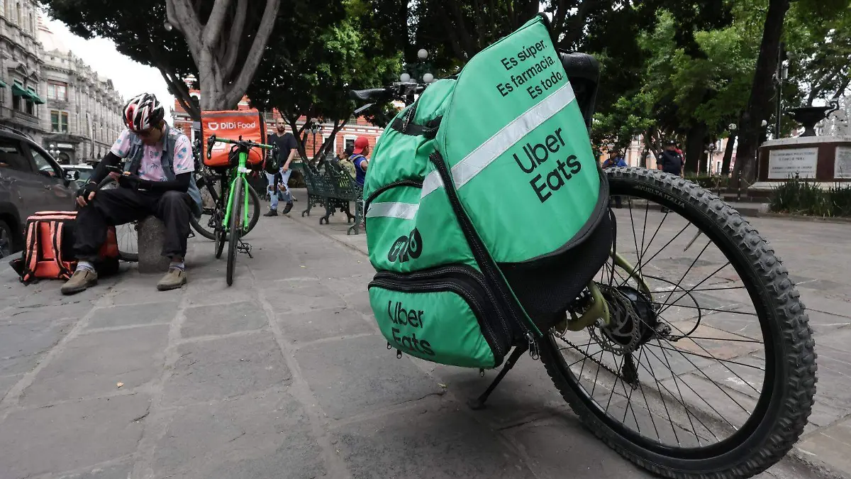 WhatsApp Image 2026-03-25 at 5.55.00 PM (4)