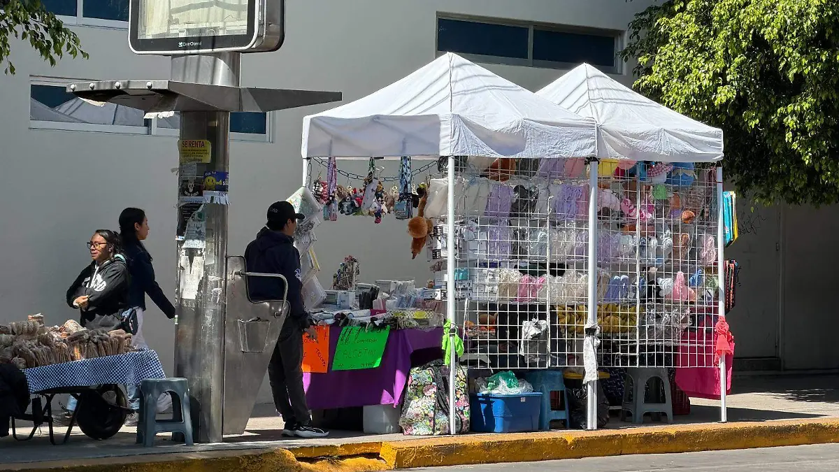 WhatsApp Image 2026-03-25 at 7.02.58 PM (2)