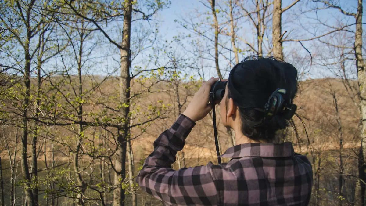 La presencia de pájaros se asocia con una sensación de ánimo más positivo