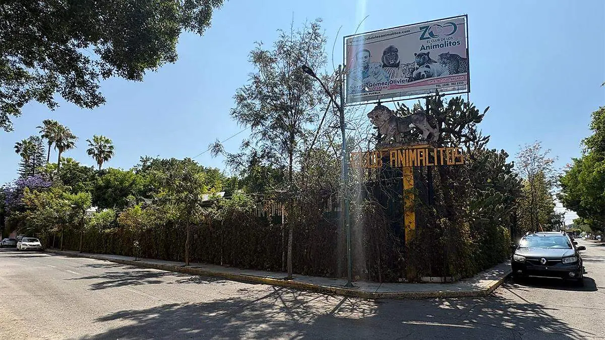 En el lugar se albergan alrededor de 2 mil ejemplares, cuyo mantenimiento representa un gasto superior a los 170 mil pesos mensuales