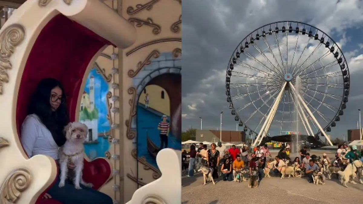 Puebla se prepara para celebrar a los perros mestizos en un evento especial en Sendela.