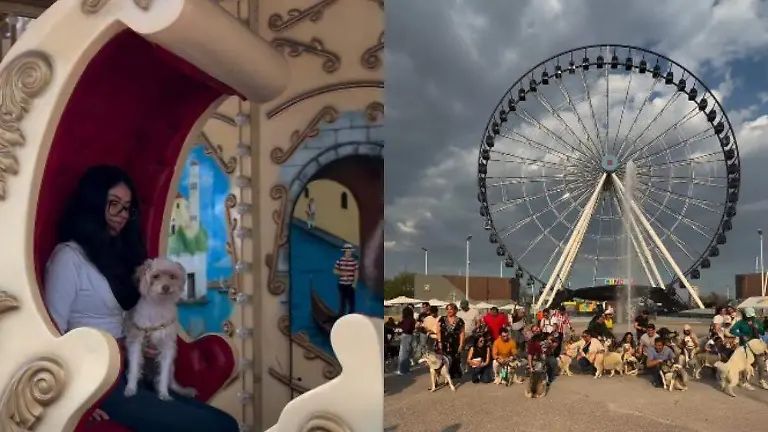 Puebla se prepara para celebrar a los perros mestizos en un evento especial en Sendela.