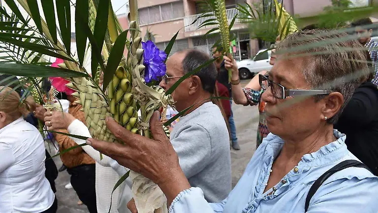 Las palmas que se utilizan en el Domingo de Ramos tienen un profundo simbolismo y una interesante historia detrás