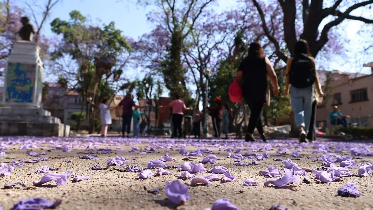 WhatsApp Image 2026-03-28 at 5.50.10 PM