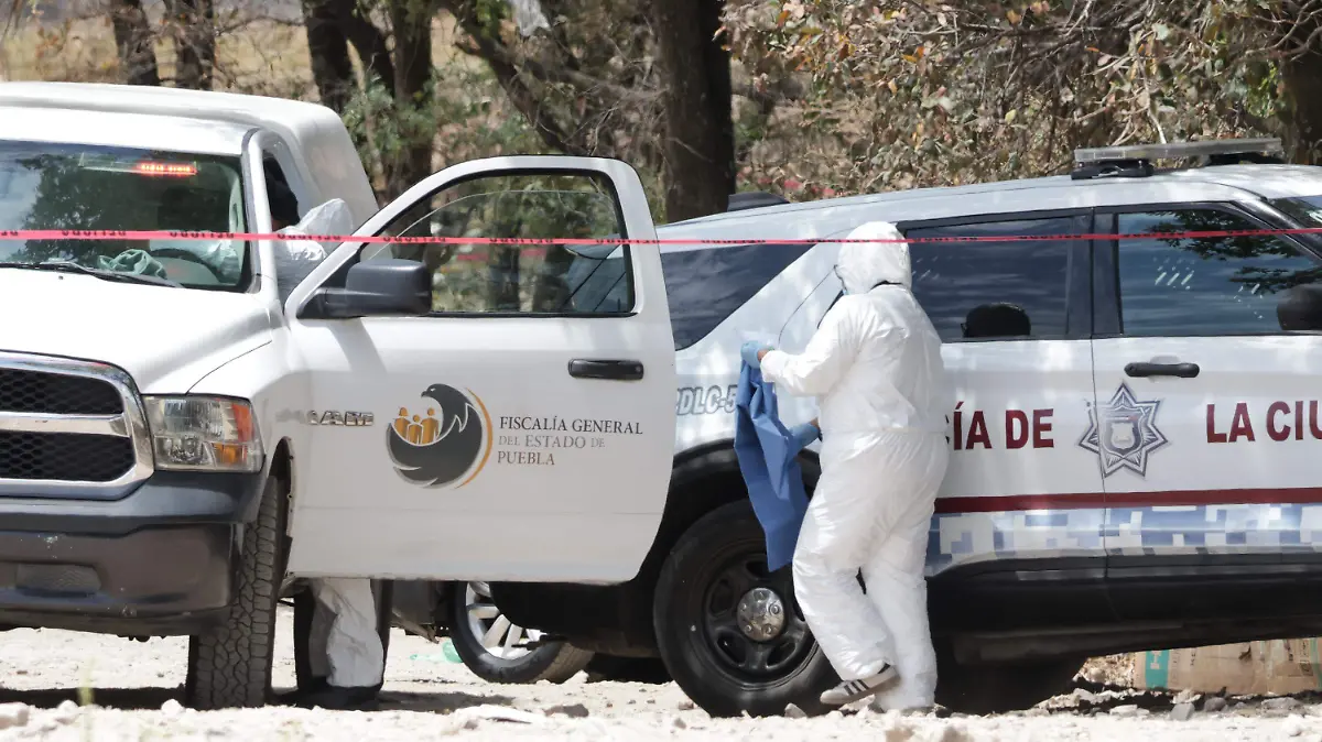 WhatsApp Image 2026-03-29 at 12.14.27 PM