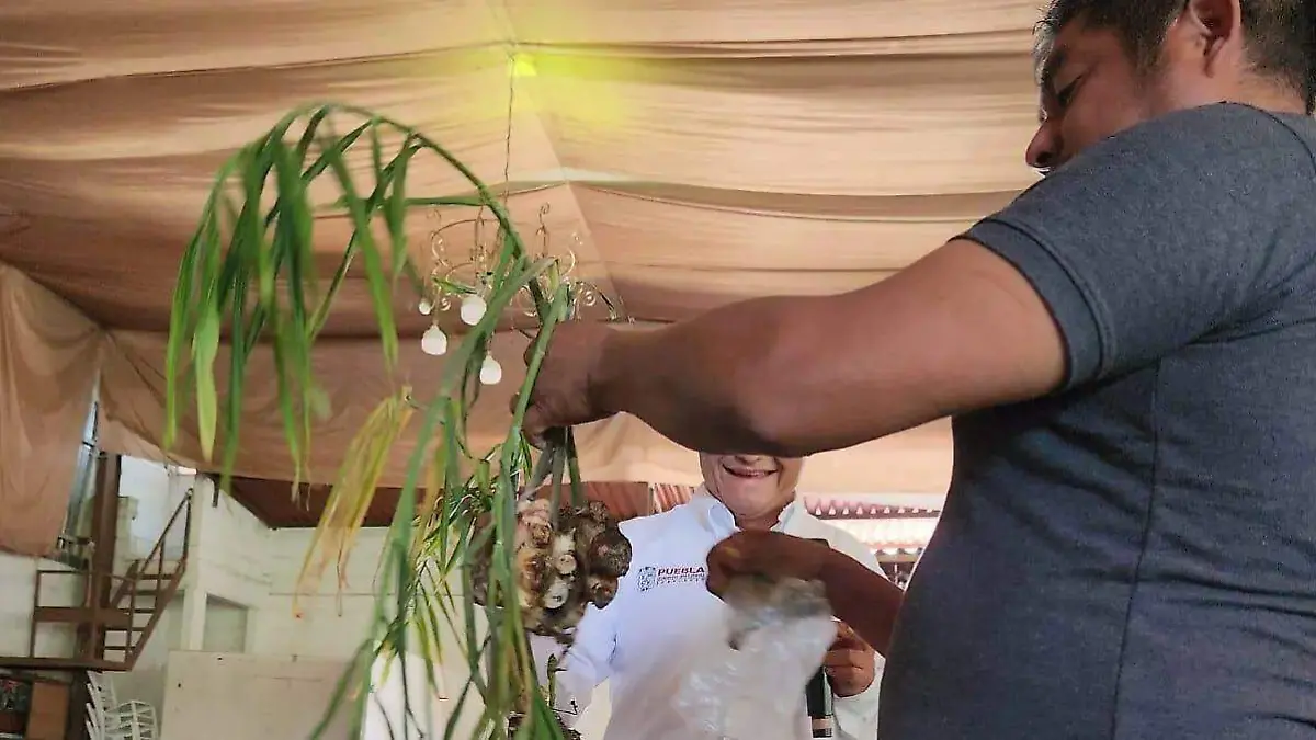 WhatsApp Image 2026-03-29 at 2.56.47 PM