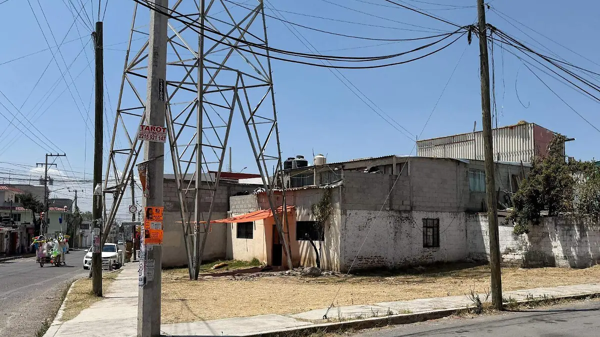 WhatsApp Image 2026-03-29 at 4.55.39 PM (1)