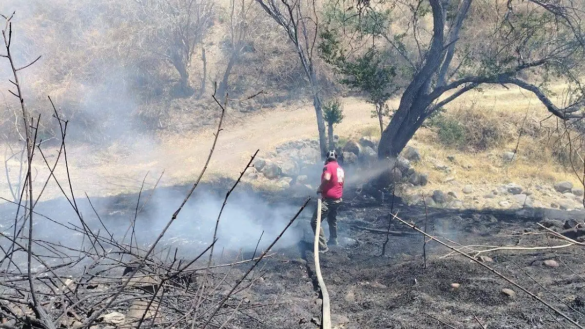 WhatsApp Image 2026-03-30 at 12.33.49 PM