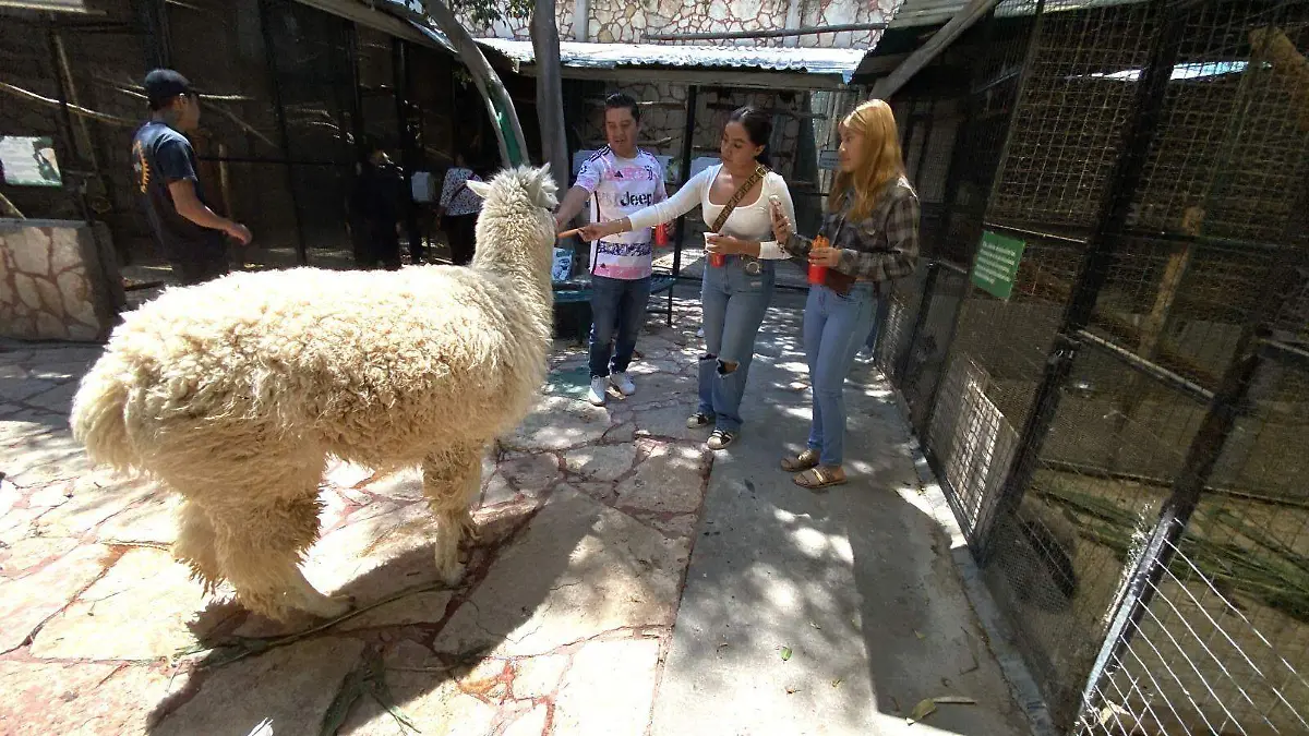 WhatsApp Image 2026-03-30 at 6.47.54 PM