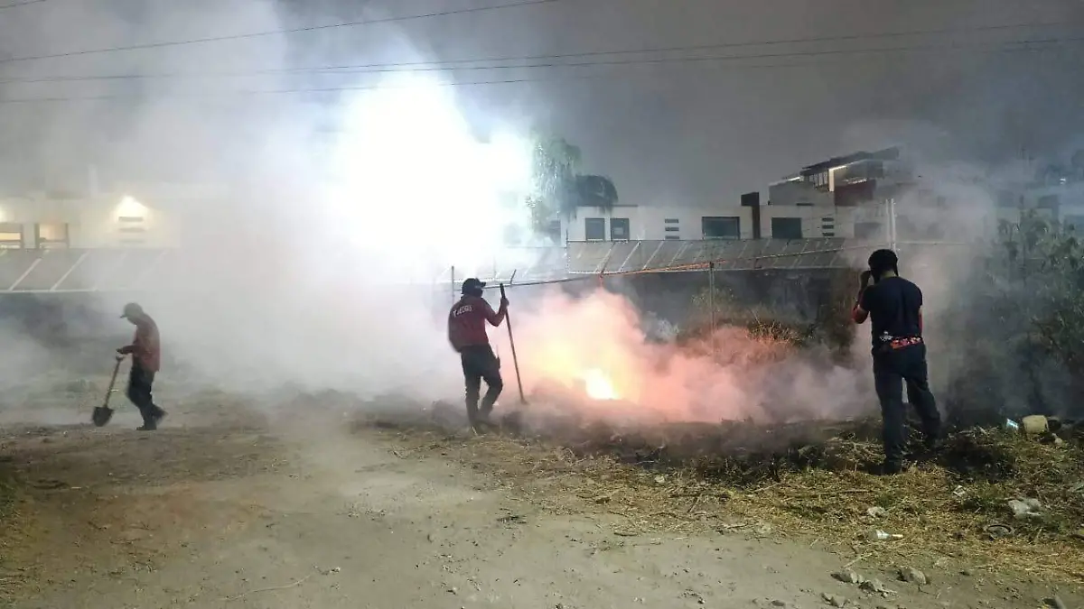 WhatsApp Image 2026-03-30 at 5.38.35 PM