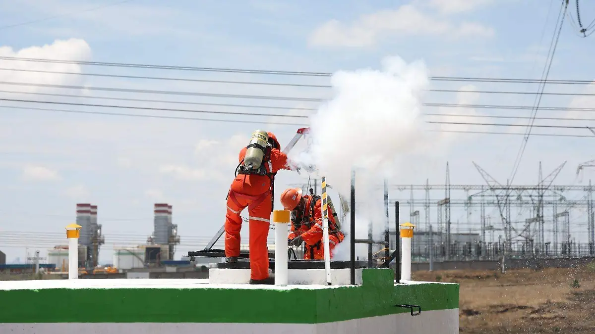 WhatsApp Image 2026-03-31 at 4.15.12 PM