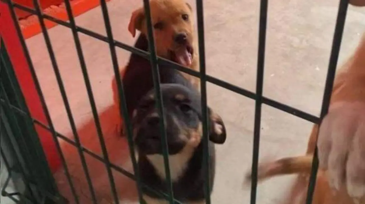 WhatsApp Image 2026-03-31 at 4.33.02 PM