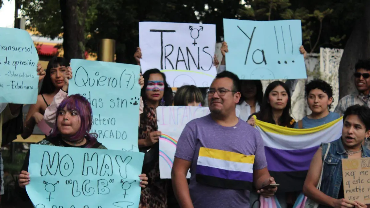 WhatsApp Image 2026-03-31 at 7.39.16 PM