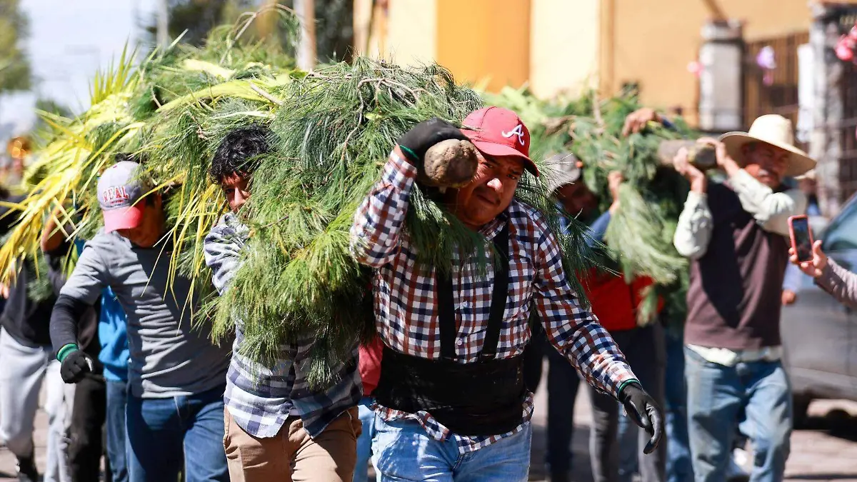 WhatsApp Image 2026-04-01 at 4.07.20 PM