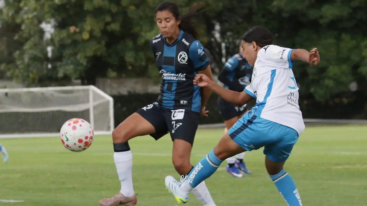 WhatsApp Image 2026-04-01 at 4.39.08 PM