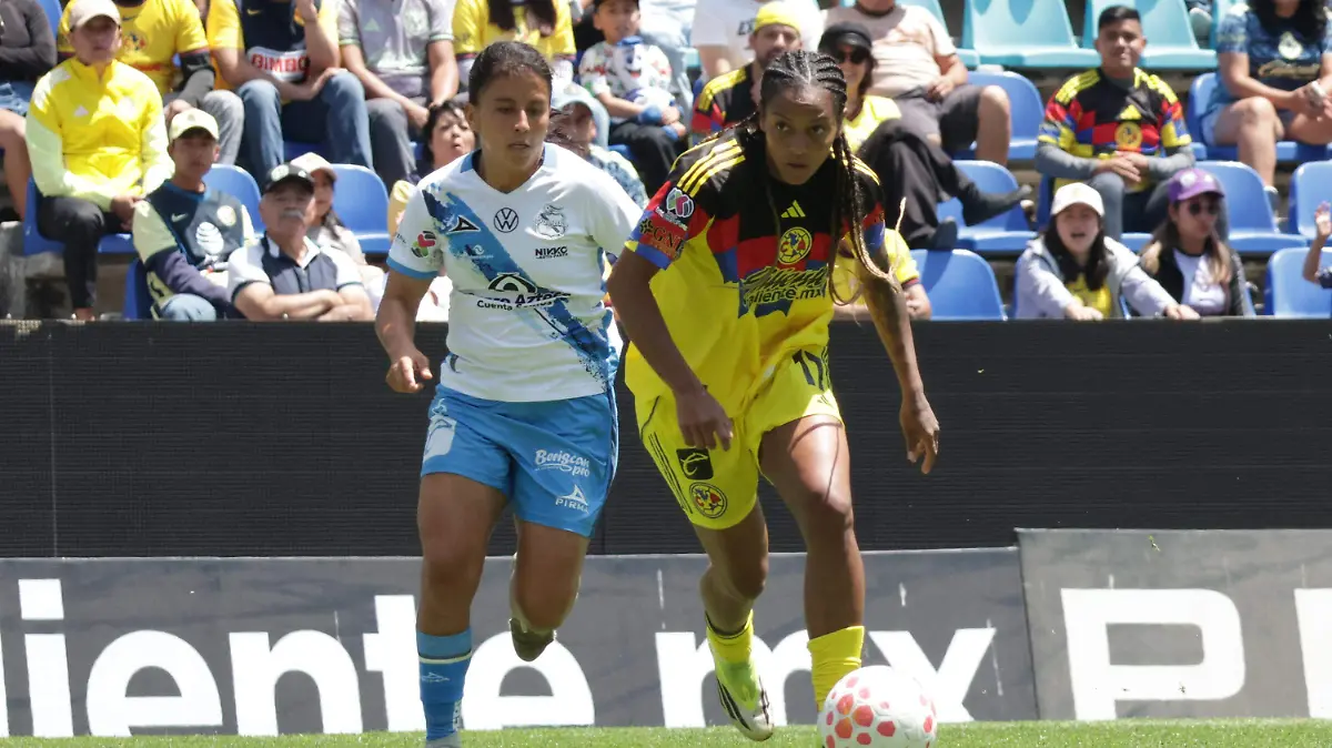 WhatsApp Image 2026-03-22 at 1.45.55 PM (2)