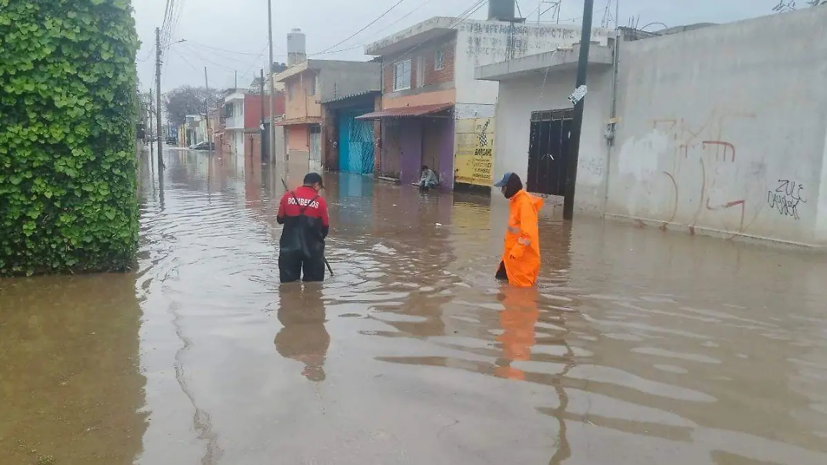 WhatsApp Image 2026-04-05 at 6.54.35 PM