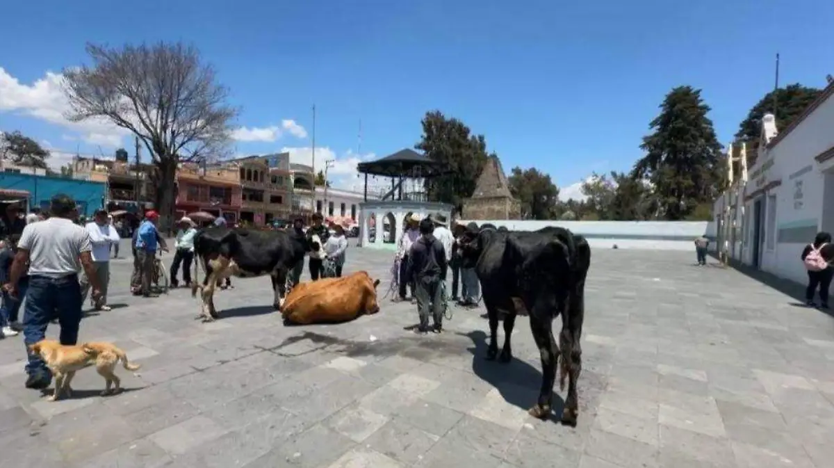 El ayuntamiento de Calpan emitió un comunicado en el que reconoció que el joven detenido es hijo del director de Protección Civil