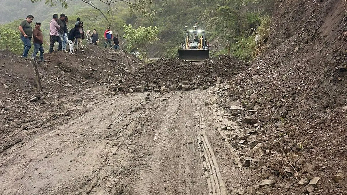 WhatsApp Image 2026-04-06 at 2.41.12 PM (1)