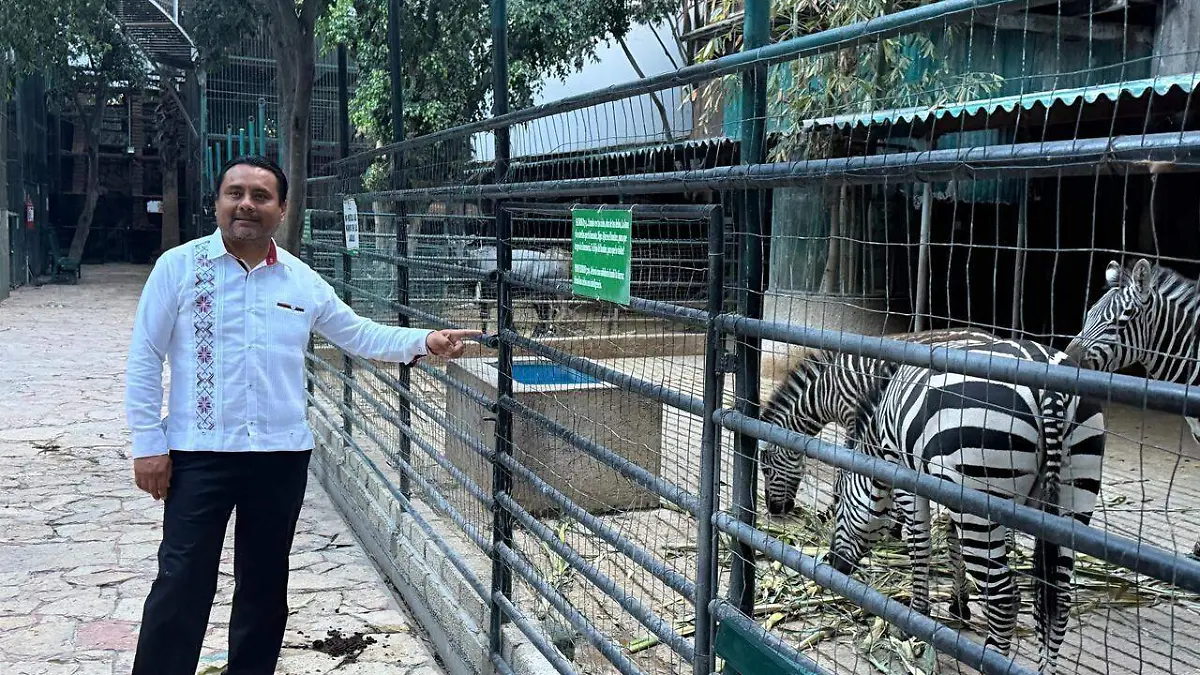 WhatsApp Image 2026-04-06 at 2.48.43 PM