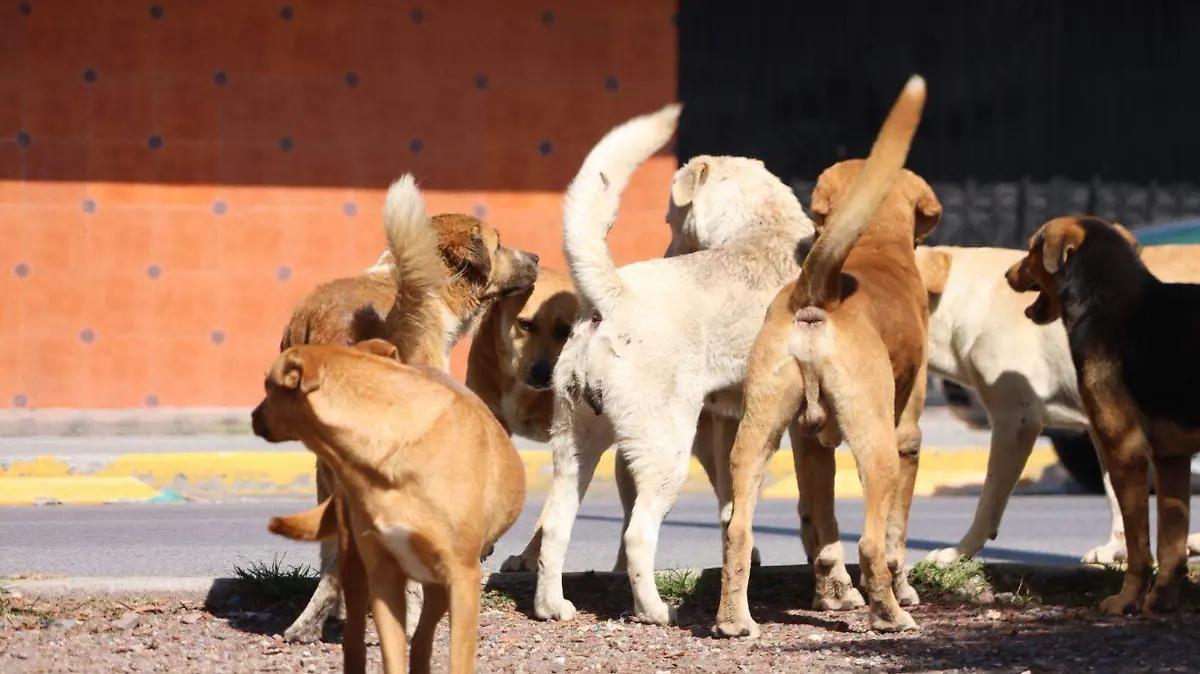 WhatsApp Image 2026-04-06 at 7.34.29 PM