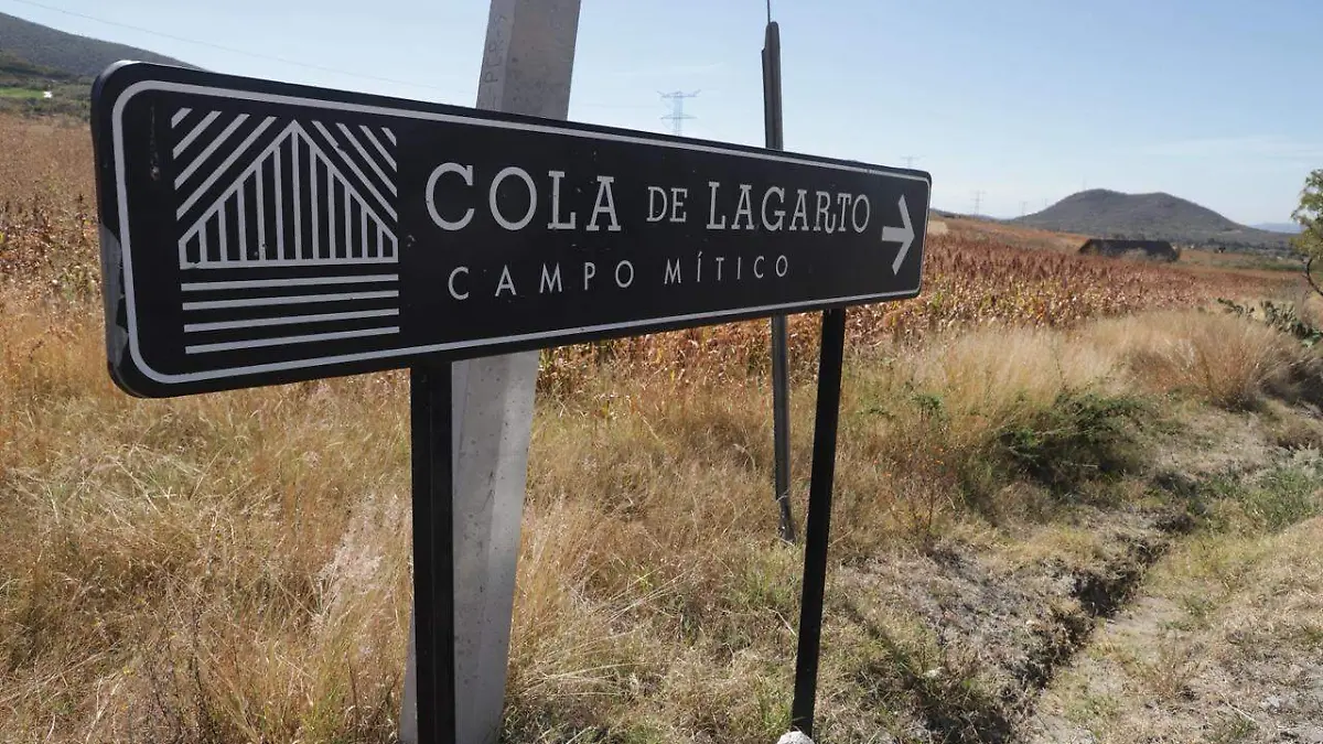 WhatsApp Image 2026-04-06 at 2.55.18 PM