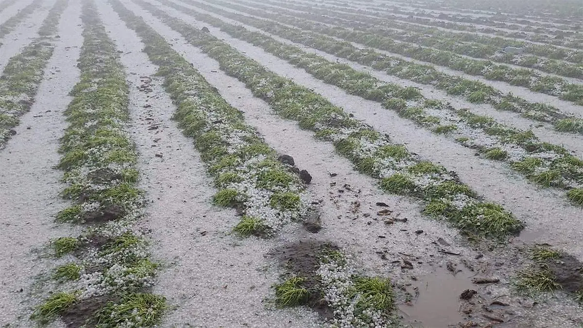 El fenómeno meteorológico sorprendió a los pobladores alrededor de las 17 horas
