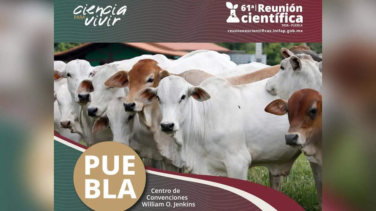 Reunion agricola en puebla