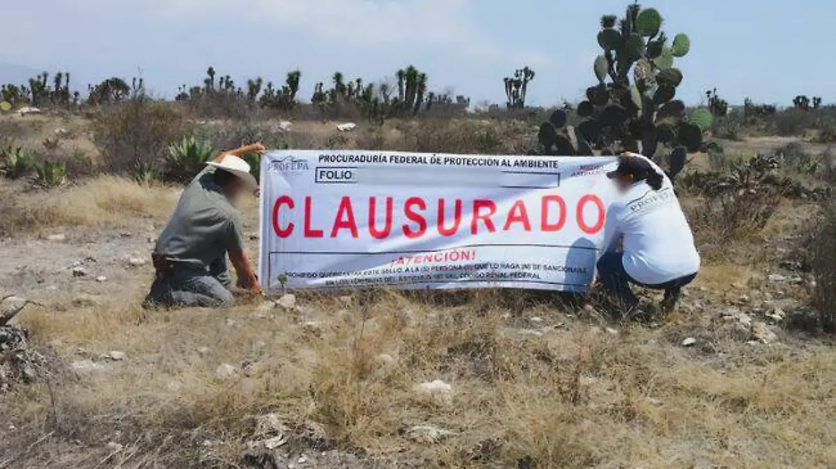 Profepa detectó la lotificación irregular dentro de la Reserva Tehuacán-Cuicatlán