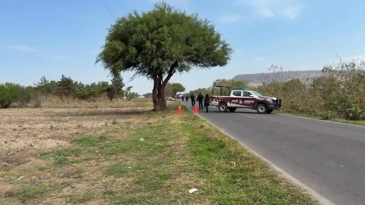 WhatsApp Image 2026-04-07 at 6.40.49 PM